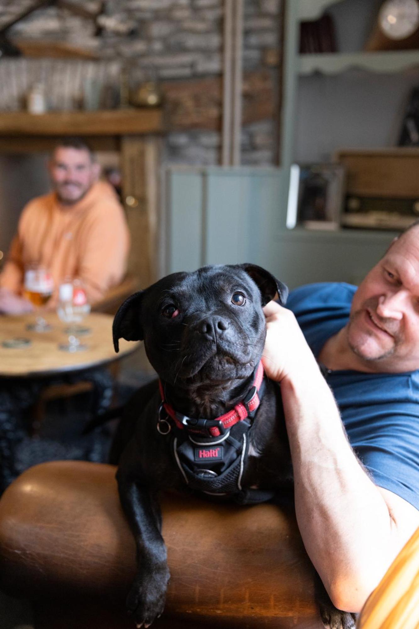 The Bear Inn